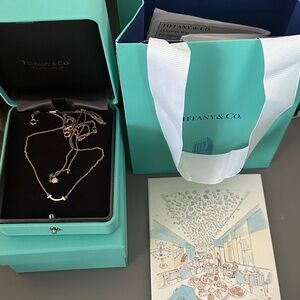 Tiffany & Co. Silver Necklace with Pendant